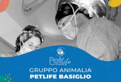 Gruppo Animalia PetLife Basiglio