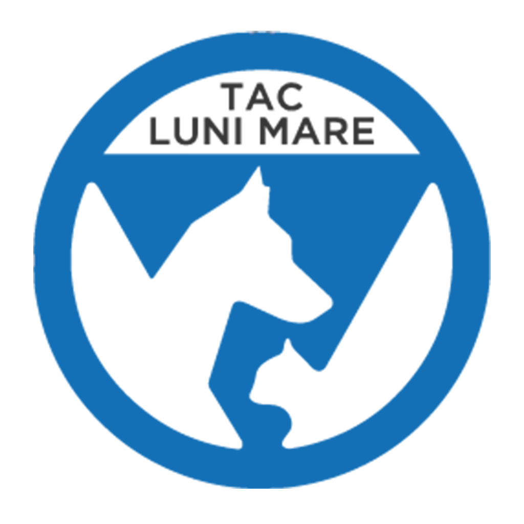 logo clinica