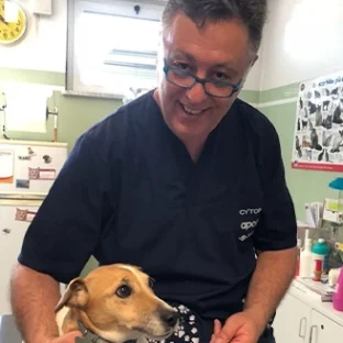 Clinica Veterinaria Croce Azzurra Casteggio