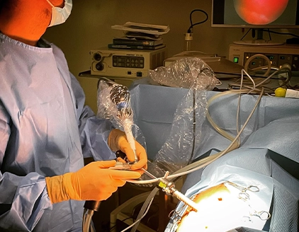 Chirurgia Clinica Veterinaria PetVet San Vincenzo