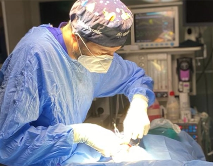 Chirurgia Ospedale Veterinario Città di Bergamo