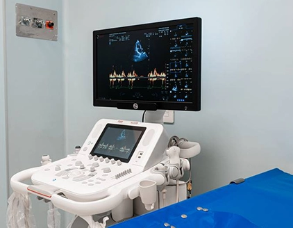Ecografia Clinica Veterinaria Croce Azzurra Empoli