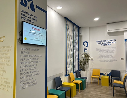 Interno Clinica Veterinaria Animalia Lissone