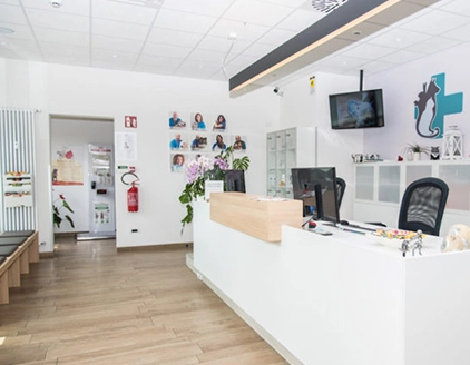Interno clinica Clinica Veterinaria Bolzano