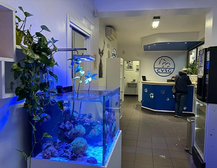 Interno sala attesa Clinica Veterinaria San Giorgio Reggio Calabria
