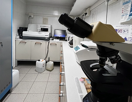Laboratorio Clinica Veterinaria Madonna Di Rosa