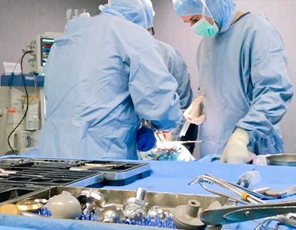 Ortopedia Clinica Veterinaria San Giorgio Reggio Calabria