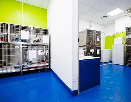 Sala degenza Centro Veterinario SOS Oberdan
