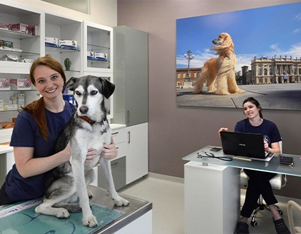 Staff cane Ambulatorio Veterinario Borgarello Santa Rita