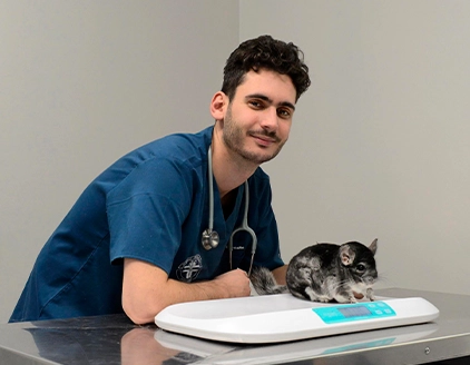 Staff cincilla Clinica Veterinaria Borgarello Moncalieri