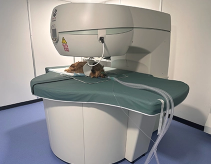 Strumentazioni Centro Veterinario CTO Vigevano