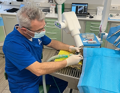 Strumentazioni DentalVet
