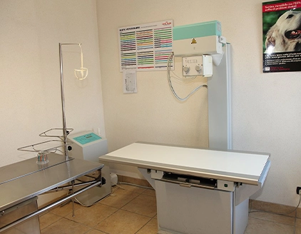Strumenti Ambulatorio Veterinario Lazzari