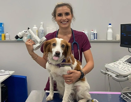 Visita cane Clinica Veterinaria PetVet San Vincenzo