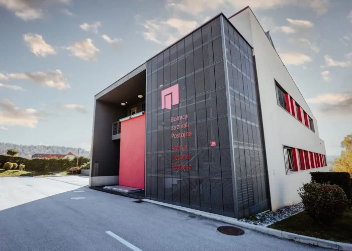 Gruppo Animalia si espande in Europa: entra l’Animal Hospital di Postojna