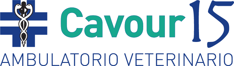 logo clinica